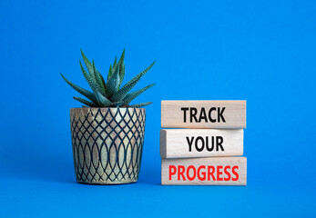 Progress symbol. Wooden blocks with words Track Your Progress. Beautiful blue background with succulent. Business and Track Your Progress concept. Copy space.