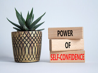 Self-Confidence symbol. Wooden blocks with words Power of Self-Confidence. Beautiful white background with succulent plant. Business concept. Copy space.