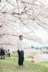 man tourist sightseeing Sakura Cherry Blossom in Spring. Happy traveler travel near Hinokinai River riverbank in Kakunodate town, Semboku District, Akita Prefecture, Japan. Landmark and Vacation