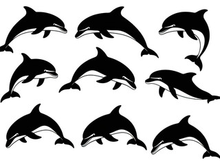 Obraz premium A collection of jumping dolphins