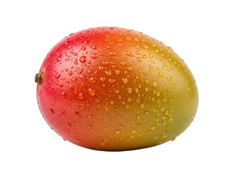 Freshly picked mango with water droplets