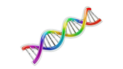Rainbow DNA Double Helix Model