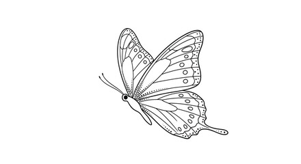 Delicate line drawing of a beautiful butterfly with wing patterns is presented as a simple black and white coloring page style illustration.