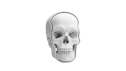 Obraz premium 3D Render of a Human Skull