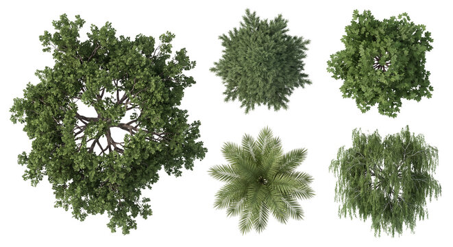 Top view collection of various trees for architectural landscape design and site plans