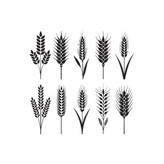 silhouette, drawing, ear, gold, graphic, grain, illustration, barley, cereal, crop, field, flour, harvest, healthy, icon, nature, rye, seed, vector, wheat, agriculture, bread, farm, food, natural, org
