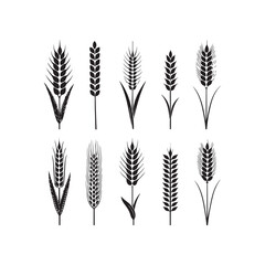 silhouette, drawing, ear, gold, graphic, grain, illustration, barley, cereal, crop, field, flour, harvest, healthy, icon, nature, rye, seed, vector, wheat, agriculture, bread, farm, food, natural, org
