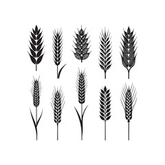 silhouette, drawing, ear, gold, graphic, grain, illustration, barley, cereal, crop, field, flour, harvest, healthy, icon, nature, rye, seed, vector, wheat, agriculture, bread, farm, food, natural, org