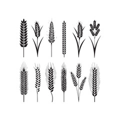 silhouette, drawing, ear, gold, graphic, grain, illustration, barley, cereal, crop, field, flour, harvest, healthy, icon, nature, rye, seed, vector, wheat, agriculture, bread, farm, food, natural, org