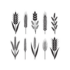 silhouette, drawing, ear, gold, graphic, grain, illustration, barley, cereal, crop, field, flour, harvest, healthy, icon, nature, rye, seed, vector, wheat, agriculture, bread, farm, food, natural, org