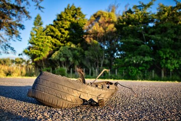 Tire Remains On Roadway