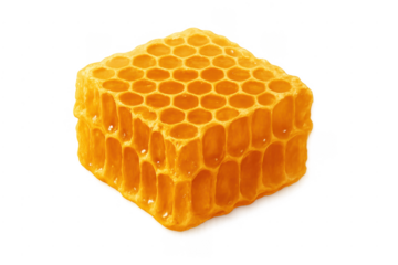 Golden honeycomb full of sweet sticky honey