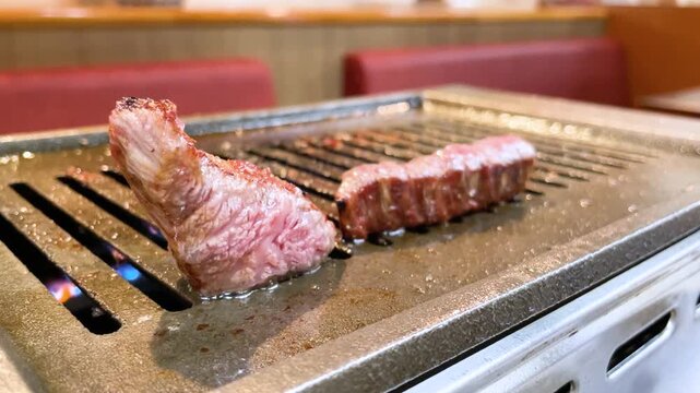 ロースター 焼肉 シャトーブリアン