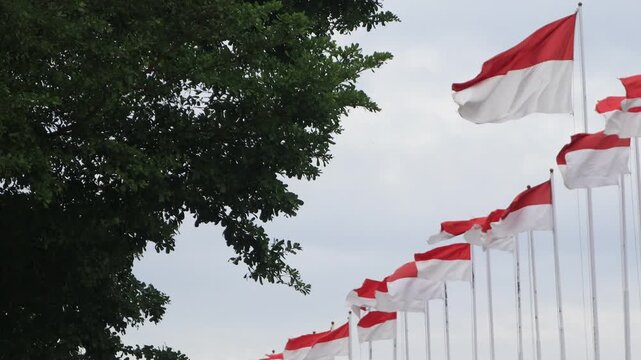 Video The Indonesian flag, Red and White, flies on a pole against a blue sky background.