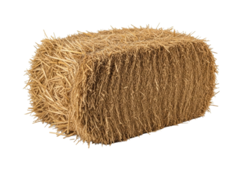 A tightly packed, golden-brown rectangular bale of dried straw, textured, with sharp edges, isolated on a pristine transparent background with copy space. Agricultural product concept