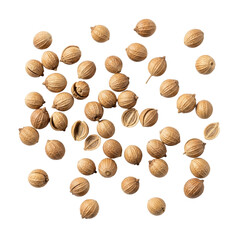 Scattered dry whole coriander seeds, small, round, light brown, textured, some split, on transparent studio surface with copy space, soft diffused lighting, subtle shadows, culinary spice concept