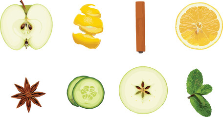 Fresh organic ingredients set with apple slices, lemon, cucumber, cinnamon stick, star anise, mint leaves and citrus peel isolated on white background vector. © MstRozinaAkter