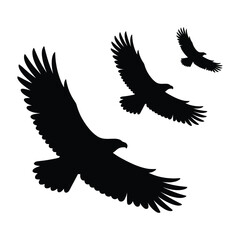 Pair of eagles together Vector, Silhouette, Illustration