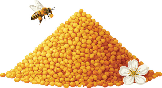 Natural bee pollen granules heap vector illustration with honey bee and white spring flower for organic health supplement and superfood packaging.