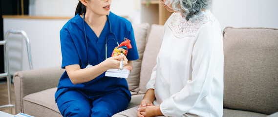 Asian nurse explains a heart model to an elderly woman at home, focusing on heart health, cardiology, patient education, senior care, and modern home