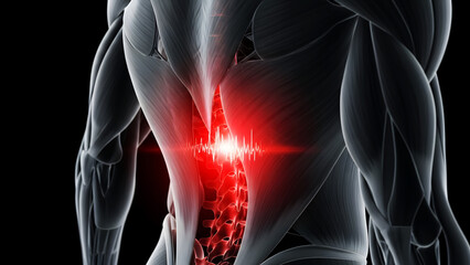 3D Illustration of Human Spine with Lower Back Pain and Inflammation