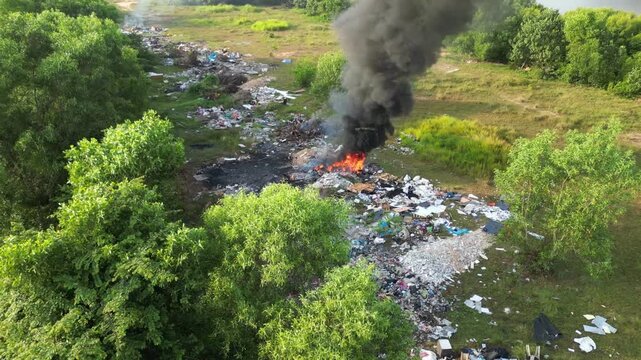 A forest with a fire burning in the middle. The fire is surrounded by trash and debris