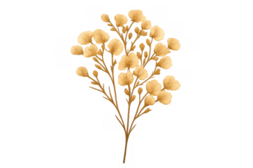 Delicate golden botanical branch with small fluffy round flowers creating a soft natural element on transparent background