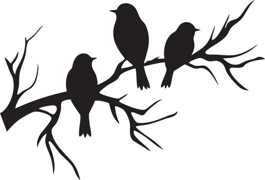 Trio d'oiseaux sur branche ramifier avec fond transparent - Silhouette