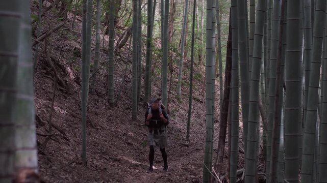Girl hiker walking in the forest with a straw hat and a backpack in Japan