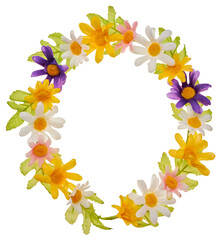 Fototapeta premium Colorful Daisy Flower Wreath Frame Isolated on White Background
