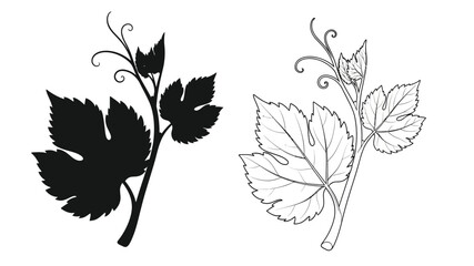 Detailed botanical illustration of grape leaves showcasing both solid and line art designs © Md Abdul Gafur