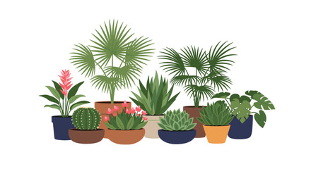 Fototapeta premium A charming illustration of a diverse collection of potted houseplants, featuring lush green foliage, colorful flowers, and unique succulents and cacti.