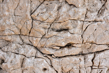 Abstract close-up of a natural limestone rock formation in Cyprus. Detailed texture of weathered stone with cracks and organic patterns in warm earthy tones.