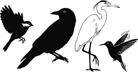Black bird silhouettes and white heron vector illustration on a white background © Pemarathna