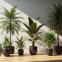 Variety of potted houseplants bask in sunlight near a neutral wall and wooden floor