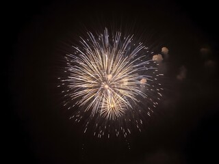 A brilliant burst of golden fireworks illuminates the night sky
