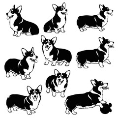 Fototapeta premium Adobe Illustrator Artwork