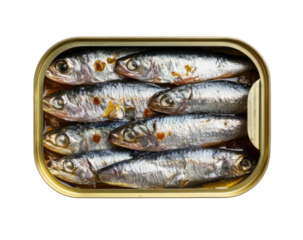 Open can of sardines packed tightly together, shimmering in oil