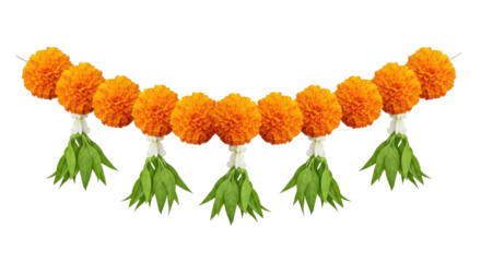 Orange marigold garland transparent background cutout png