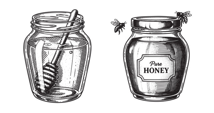 Honey jar vintage engraving illustration isolated on white background