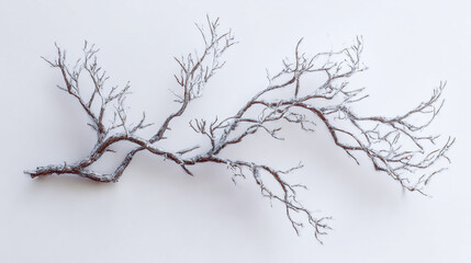 Fototapeta premium A solitary branch with delicate, bare twigs, a symbol of winter's embrace or the cycle of life