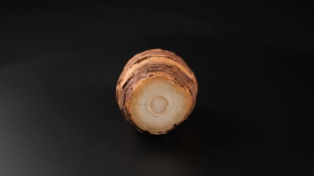 Close-up of a taro root rotating on a black surface, showcasing its texture and shape for culinary and food-related concepts