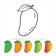 Mango Fruit Line Art and Flat Color Examples