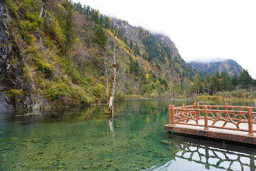 Clorful pond at Bipenggou Valley (Bipenggou National Park), a natural reserve located in northern Sichuan, China