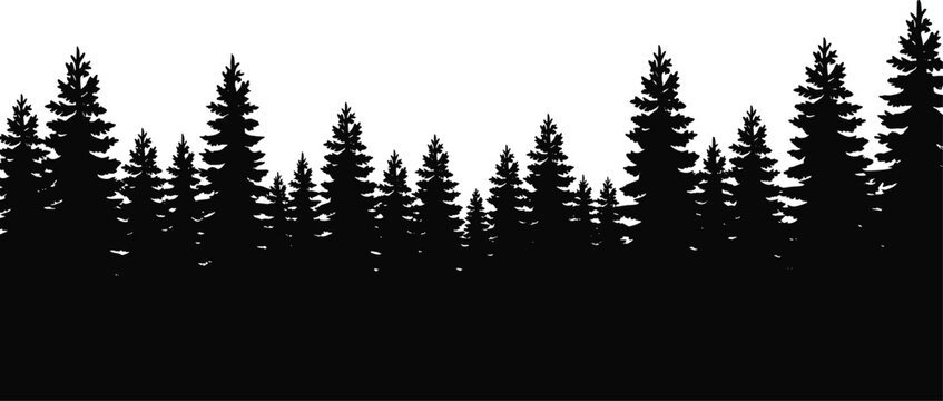 Dark pine tree forest silhouette forming dense evergreen woodland horizon, minimalist black nature landscape illustration isolated on white background
