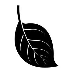 Vector graphic icon for Verdure