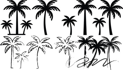 Fototapeta premium Palm tree silhouette illustration set showing multiple tropical styles including solid icons, sketch lines, ink brush, and grunge artistic designs on white background