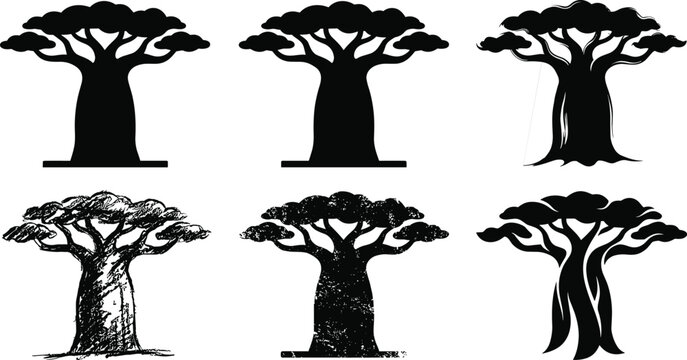 Set of six black baobab tree silhouettes in different artistic styles isolated on white background, nature illustration collection for design use