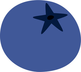 Blueberry Illustration 