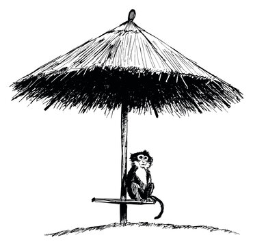 Hand drawn line art illustration of a monkey depicting relaxing under a thatched umbrella for tropical summer designs